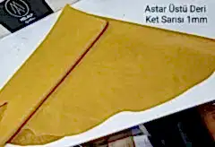 Astar Deri Cat